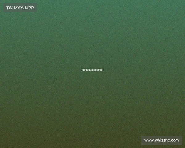 群英羽网体育价格为什么那么低